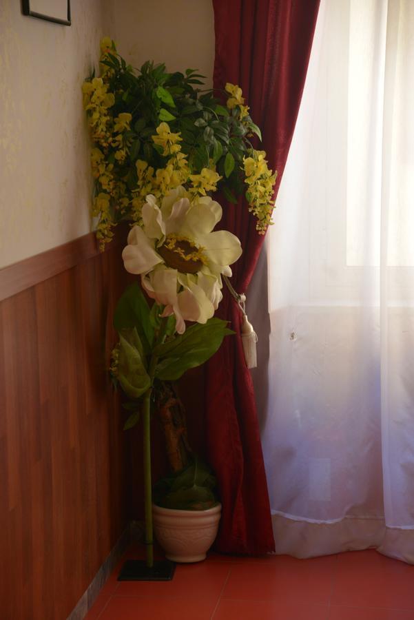 Albergo Panorama ฟรัสกาตี ภายนอก รูปภาพ